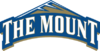Mt. St. Mary's Mountaineers 