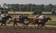 belmont