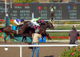 horse racing handicapping