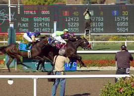 horse race handicapping