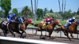 horse race betting guide