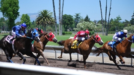 horse race betting guide