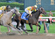 horse race reading menu