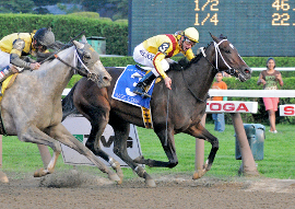 horse race reading menu