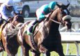 preakness