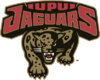 Youngstown State Penguins