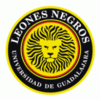 Leones Negros