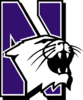 Northwestern Wildcats