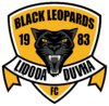 Black Leopards