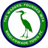 Biggleswade Town FC