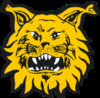 FC Ilves