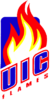 Illinois Chicago Flames