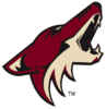 Arizona Coyotes