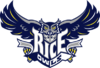 Rice Owls