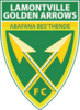 Golden Arrows