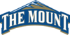 Mt. St. Mary's Mountaineers