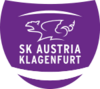 SKU Amstetten