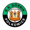 Gornik Polkowice