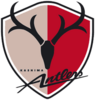 Kashima Antlers