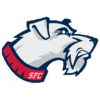 St. Francis Terriers