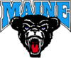 Maine Black Bears