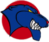 Louisiana Tech Bulldogs